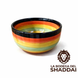 Bowl cerámico vibrante con logo TAZA #6 ARTESANAL
