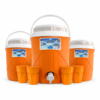 TERMO NEVADO SET X 4 CON VASOS